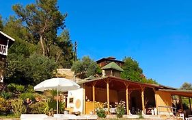 Olympos Angels Garden